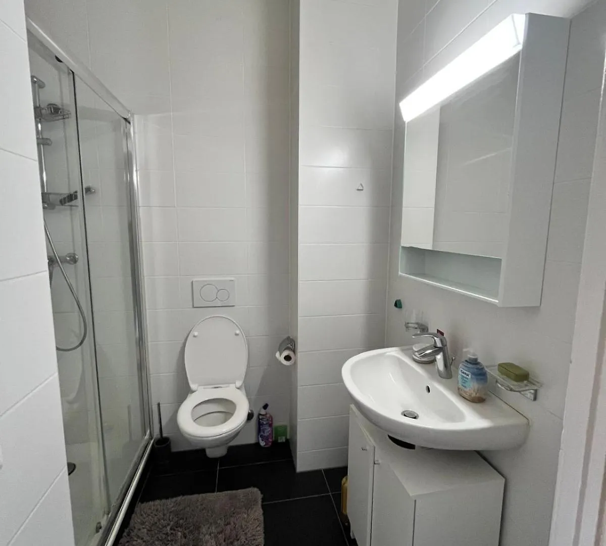 Ubytování v soukromí Private Room Geneva Eaux-Vives, 2 Min From The Lake